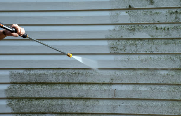 Best Patio and Deck Pressure Washing  in Oviedo, FL